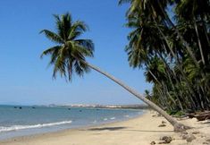Nearby View and Attractions 6 Quoc Dinh Guesthouse