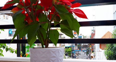 Lobby 2 Forget Me Not Hotel Nha Trang