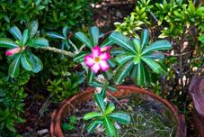 公共空间 Gerd and Noi resort