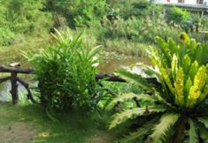 Ruang Umum 2 Riverside Guesthouse