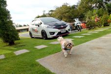 住宿服务 Suksompong Resort