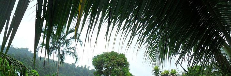 大堂 Khaolak Banana Bungalow