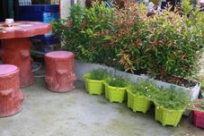 พื้นที่สาธารณะ Noppharat Home & Backpacker