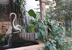 Lainnya 3 Pai Klang Veing