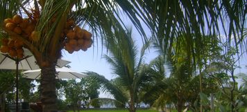 Kolam Renang 6 Mangga Villa Beach