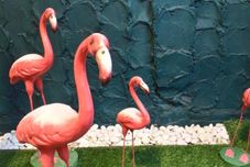 피트니스 센터 Tamada House