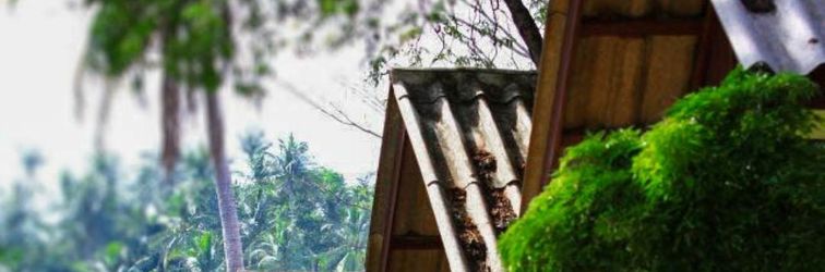 大堂 Green Villa Samui