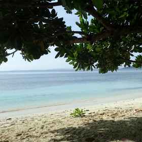 Raja Ampat Diva Homestay 7, Hotel Pasir Timbul Raja Ampat