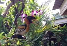 Ruang untuk Umum 3 Khaolak Your House1