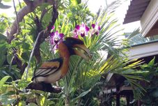 Ruang untuk Umum Khaolak Your House1