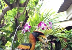 Ruang untuk Umum 5 Khaolak Your House1