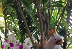 Ruang untuk Umum 6 Khaolak Your House1