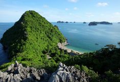Bên ngoài 4 Monkey Island Resort