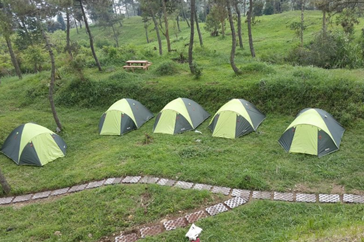 Common Space Papandayan Camping Ground