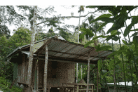 Lobby Rain Forest Inn