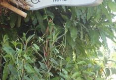 ภายนอกอาคาร 6 Grandma's Home Sangkhlaburi