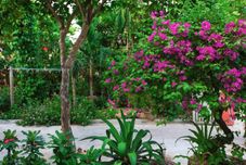 Common Space Thinh Phuc Homestay