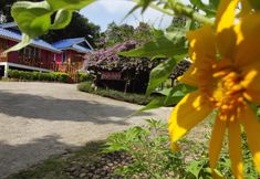 Exterior 5 Phu Chom Jan Resort