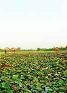 LOBBY Lotus Lake Homestay