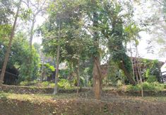 Exterior 4 Ban Kiang Doi Resort