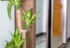 พื้นที่สาธารณะ 4 Arca Ratchaprarop