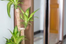 พื้นที่สาธารณะ Arca Ratchaprarop