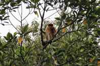 Ruang untuk Umum Tanjung Bulat Jungle Camp