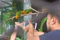 Fasilitas Hiburan Aviary Bintaro