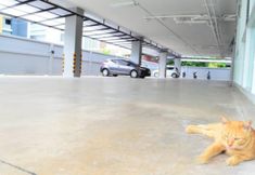 共用スペース 4 Pansook The Urban Condo by Natty