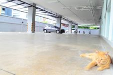 共用スペース Pansook The Urban Condo by Natty