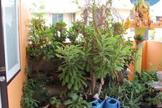 ภายนอกอาคาร New C.H. Guesthouse