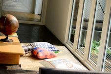 公共空间 The Yard Hostel