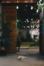 外部的 4 The Yard Hostel