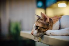 休闲设施 The Yard Hostel