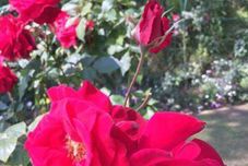 大廳 Riva Costa Asiatique