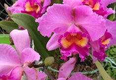 공용 공간 5 Rossarin See View House