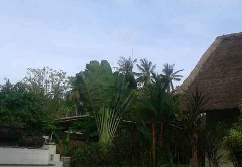 Swimming Pool Ayu Lestari Cottage