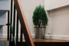 공용 공간 Weeping Willow Sukhumvit 26