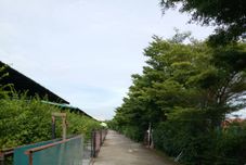 近くの景色と観光スポット Honey Inn