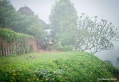 外部的 6 Baan Lan Dao Resort
