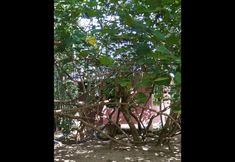 Nearby View and Attractions 3 Pulau Sri Tanjung Resort