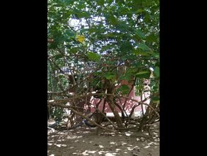 Nearby View and Attractions 4 Pulau Sri Tanjung Resort