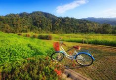 주변 전망 및 관광 명소 5 500 Rai Farmhouse Resort