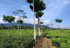 Nearby View and Attractions 5 Villa Fifasa Bumi Ciherang