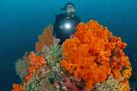 Accommodation Services Murex Dive Resorts Manado