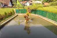 Kolam Renang Rumah Sawah