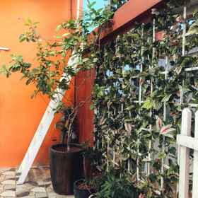 Bach Diep Guesthouse 1, 酒店 33a Lê Văn Tám