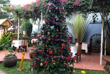 Ruang Umum Tropical Garden Phu Quoc