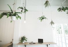 共用スペース 6 POSH 39