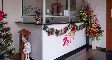 ロビー 2 D'pinetrees Hotel